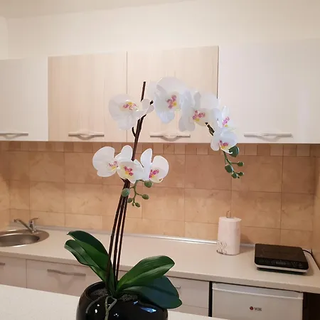 Kej Free Parking Appartement *