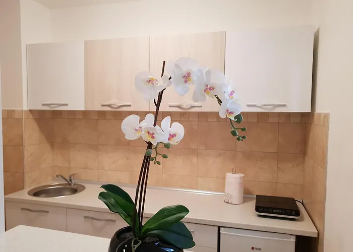 Kej Free Parking 아파트 *